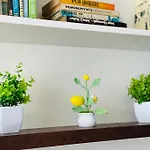 Positano Apartamento Varna