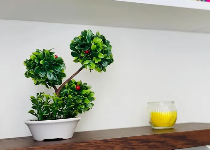 Positano 公寓 瓦爾納